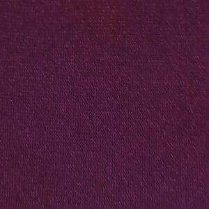 J. Crew Purple Tie Accessories